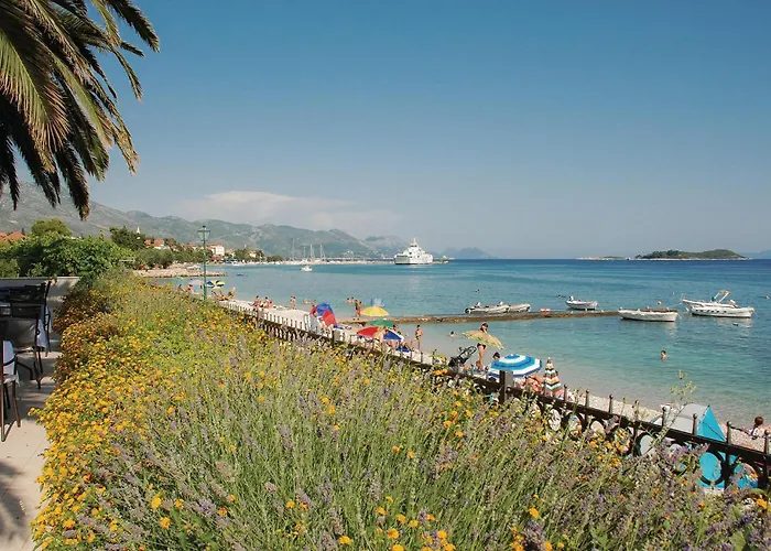 Appartement Beautiful In Dingac With Swimming Pool